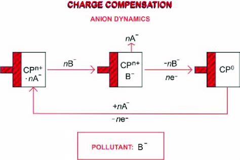 Charge Separation With Anion Dynamics Download Scientific Diagram