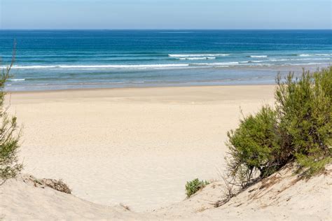 Landes découvrez les plus belles plages de la région