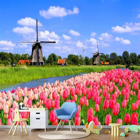 Amsterdam Tulips Wallpapers - Top Free Amsterdam Tulips Backgrounds - WallpaperAccess