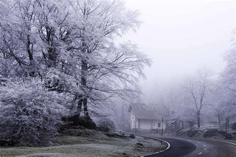 Nieblas Y Cencella Por Urbasa Mucho Fr O Eitb Eus Flickr