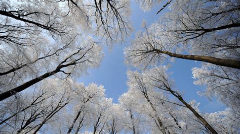 Frost in Europa Cooper bringt Eiseskälte DER SPIEGEL