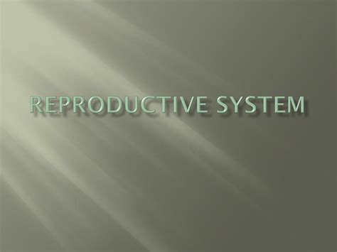 Ppt Reproductive System Powerpoint Presentation Free Download Id