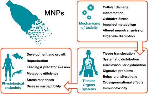 Frontiers A Growing Crisis For One Health Impacts Of Plastic