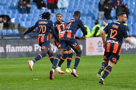 Ogcn Mhsc La Composition Probable Pailladine Esprit Paillade