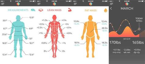 3d Body Measurements Visualizer Wondervsa