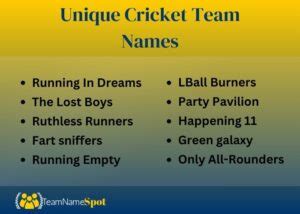 Best Cricket Team Names For Your Winning Squad