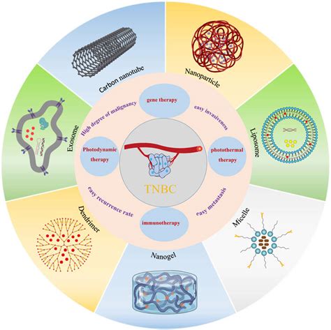 Frontiers Advances In Doxorubicin Based Nano Drug Delivery System In