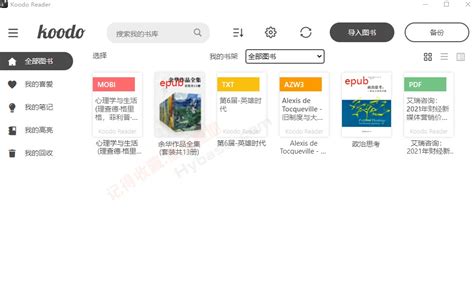 Windows 你想要的电脑阅读神器 Koodo Reader V139 黑域基地