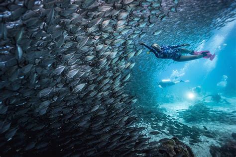 I DARE XPLORE INDONESIA Raja Ampat Dan 7 Deretan Spot Diving