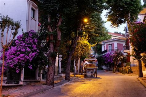 İstanbul Adalar Turu Tatil Adası Turizm