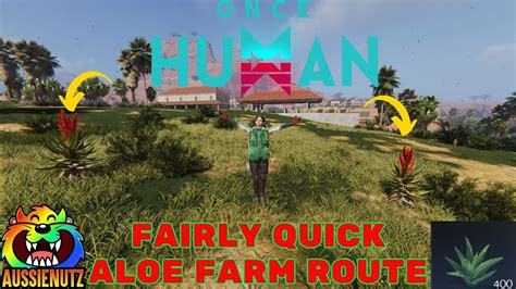 The Fastest Aloe Farming Route Oncehuman Oncehumangameplay