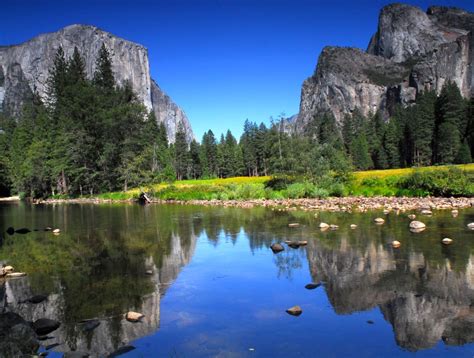 Exploring The Best National Parks In California - Unique Sleeps