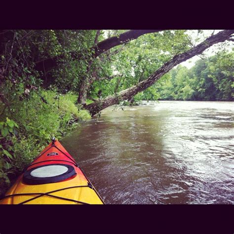 Edge of the Cape Fear river. #kayaking | Kayaking, Outdoor, Cape fear