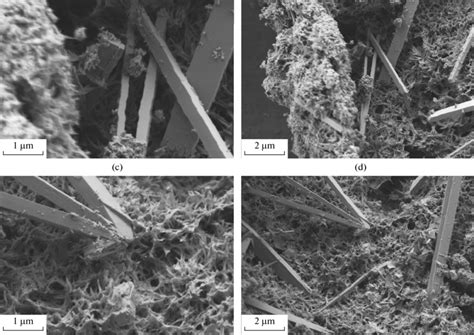 Sem Image Of The Particles Of Calcium Silicate Synthesized From Download Scientific Diagram