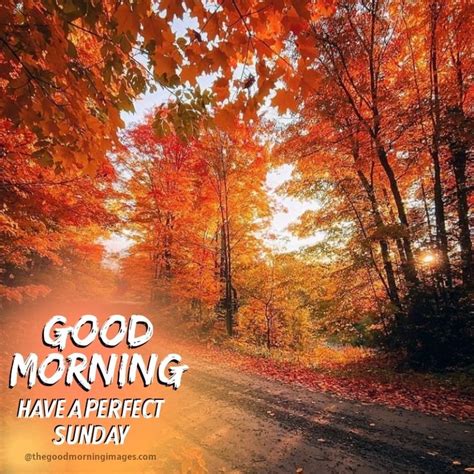 An Autumn Scene With The Words Good Morning Have A Perfect Sunday