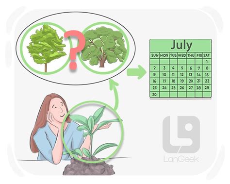 definition meaning  time   picture dictionary