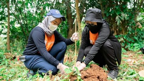 3 Keseruan Shopee Cares Untuk Peringati Hari Hutan Sedunia