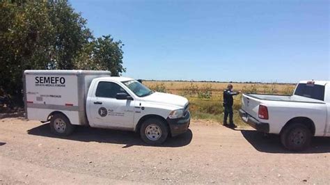 Diario Del Yaqui Macabro Hallazgo En El Valle Del Yaqui