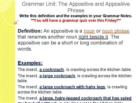 Grammar Unit The Appositive And Appositive Phrase Write