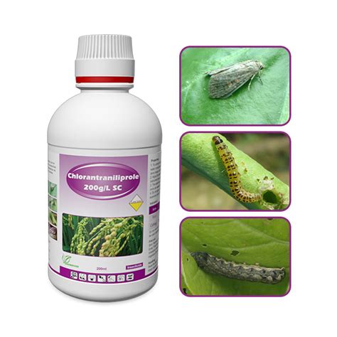 Agricultural Pesticides Chlorantraniliprole G L Sc Sc With Good