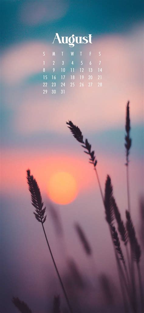 August 2021 Calendar Wallpaper Kolpaper Awesome Free Hd Wallpapers