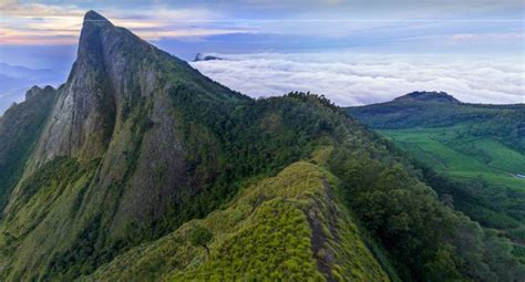 Reason To Visit Munnar