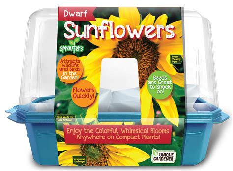 Silver Circle Products Dwarf Sunflowers Growing Kit Wayfair