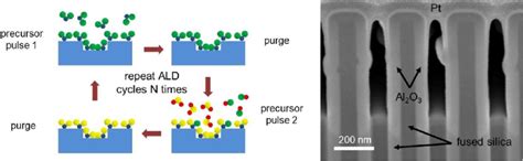 Left Schematic Of The Atomic Layer Deposition Ald Process Right It