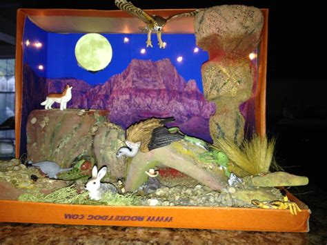 Shoebox Desert Diorama Made For 3rd Grade Project School Displays