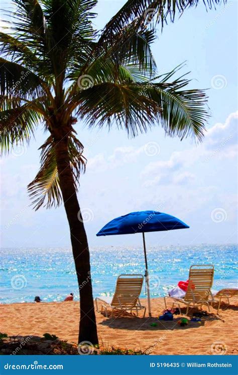 Tropical Beach Scene Royalty Free Stock Photo - Image: 5196435