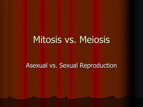 Ppt Mitosis Vs Meiosis Powerpoint Presentation Free Download Id