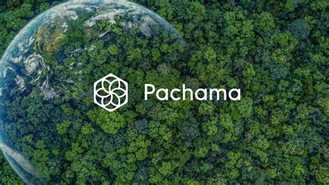 Pachama Launches First AI-Based Forest Project Evaluation Tool