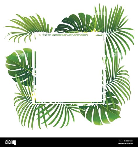 Palm Branch Border Clip Art