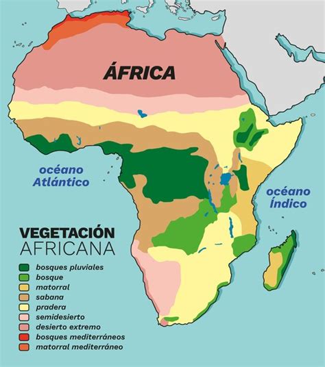 Mapa De Continente Africano Con Division De Climas Por Colores Premium Vector