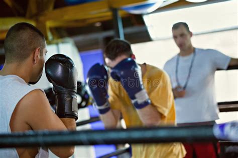 Boxing Training stock photo. Image of fighter, club, instructor - 46902284