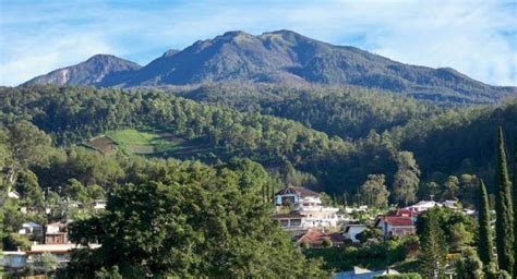 5 Jalur Pendakian Gunung Lawu Favorit Kamu Yang Mana Gunung