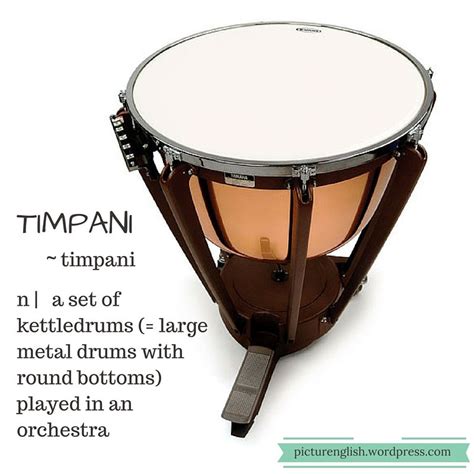 Timpani Timpani Metal Drum Music Instruments Drums