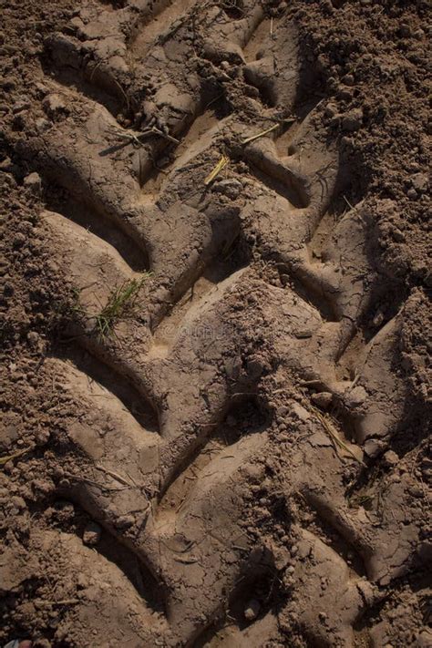 Tracks Of Tractor Stock Image Image Of Outdoors Tracing 54020763