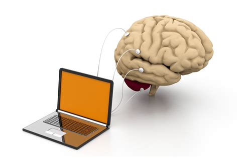 Neurofeedback Descubre El Poder De Entrenar Tu Cerebro