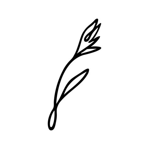 Hand Drawn Herbal Floral Clipart One Line Doodle Vector 20426324