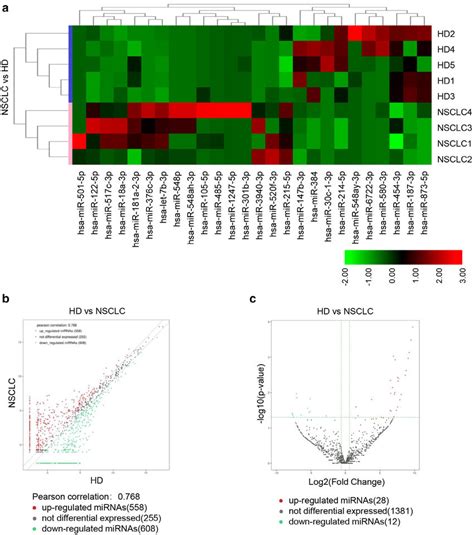 Plasma Mirna Profile Of The Non Small Cell Lung Cancer Nsclc