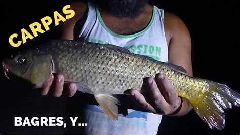 PESCA De CARPAS BAGRES Y YouTube