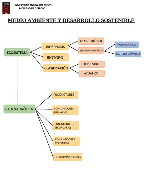 Arriba Imagen Mapa Mental Sobre La Cadena Alimenticia Abzlocal Mx