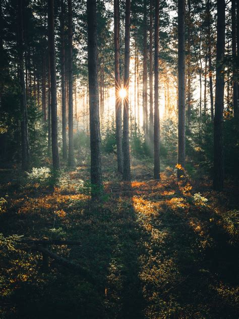 This Is Sweden: Beautiful Landscape Photography By Tobias Hägg