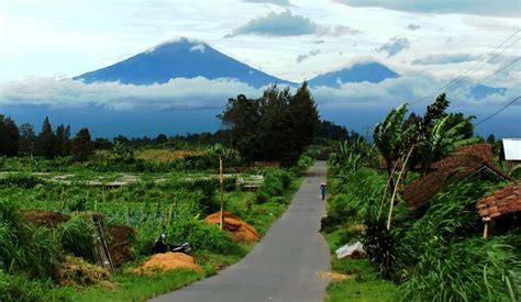 Panoramio Photo Of Gunung Sumbing Dan Gunung Sindoro Pemandangan