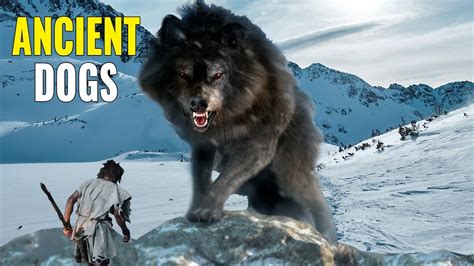 9 Most AMAZING Prehistoric Dogs! | Simply Amazing Stuff