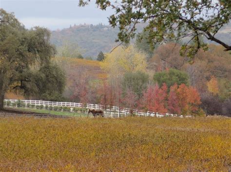 sensational sierra nevada foothills  california