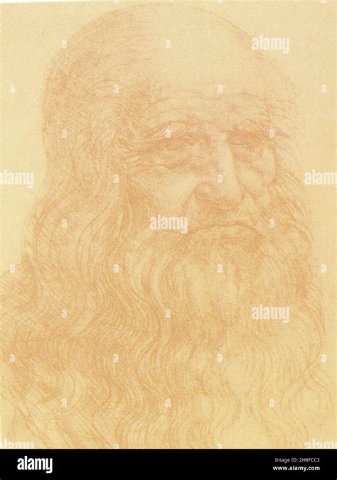 LEONARDO DA VINCI.SELF PORTRAIT Stock Photo - Alamy