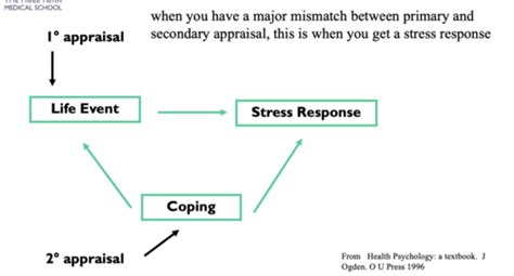 Stress Physical Illness And Coping Flashcards Quizlet