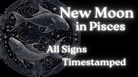 All Signs Timestamped New Moon In Pisces Tarot Oracle Card